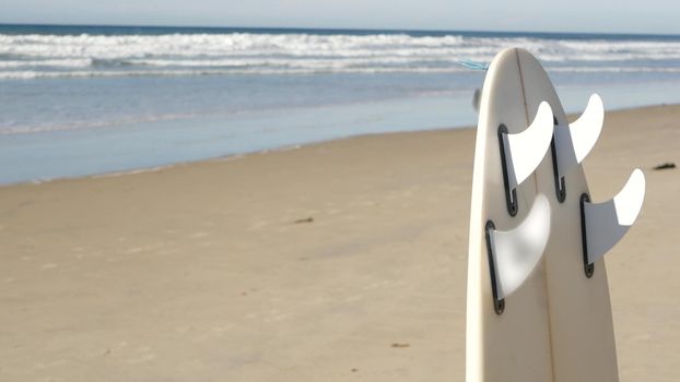 Surfboard for surfing standing on beach sand, California coast, USA. Ocean wave and white surf board or paddleboard. Longboard or sup for watersport by sea water. Summer vacation, sport on shore vibes