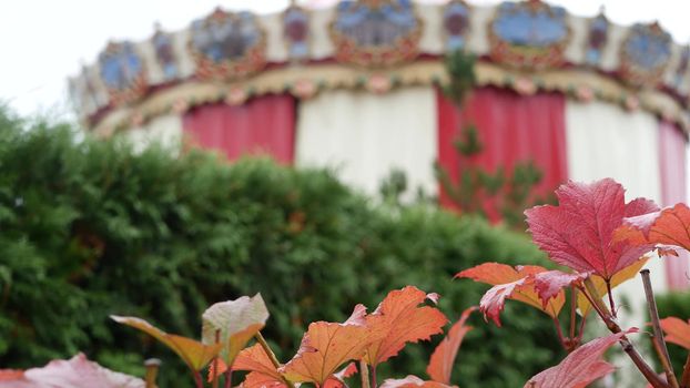 Vintage carousel in autumn park, retro circus or merry go round carrousel tent. Fall leaves and fairground or funfair in october, september or november city garden. Amusement attraction in Europe.