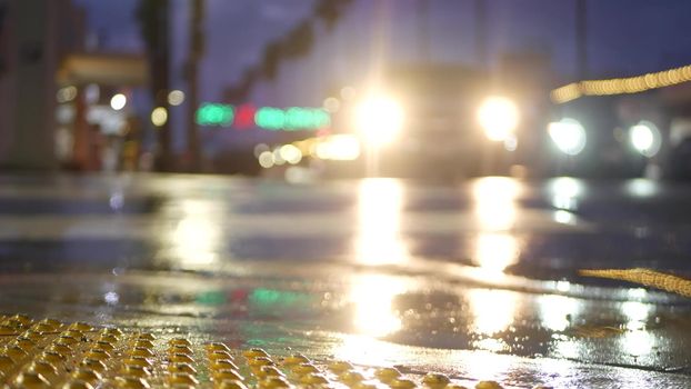 Cars lights reflection on road in rainy weather. Rain drops on wet asphalt of city street in USA, water raindrops falling on sidewalk. Palm trees and rainfall, twilight dusk. Ocean Beach, California.