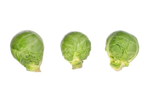 Group of small green brussel cabbage sprouts. Studio shot of brussel sprout isolated. Brassica oleracea. Organic raw vegan healthy food vegetable. Top view, macro, above.