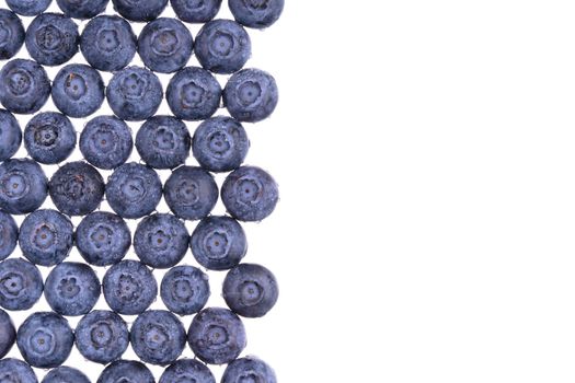 Set of blueberries isolated on white. Texture of fresh blueberry berries closeup. Juicy forest blueberries, bilberries, antioxidant organic superfood. Healthy eating. Top view, macro, copy space