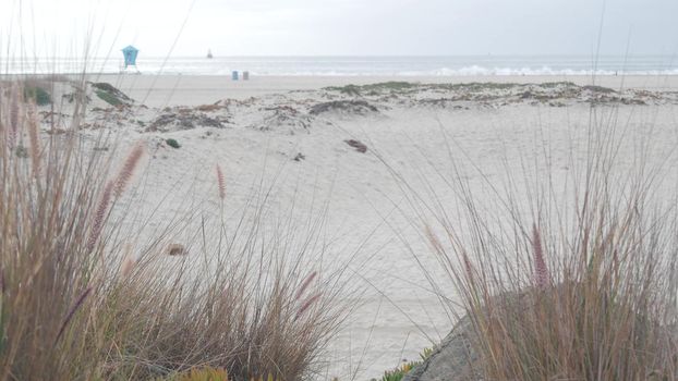 Sand dunes of misty Coronado beach, ocean waves in fog, California coast, USA. Cloudy overcast weather in San Diego. Succulent plant on sea shore in brume, lifeguard tower in haze. Life guard stand.