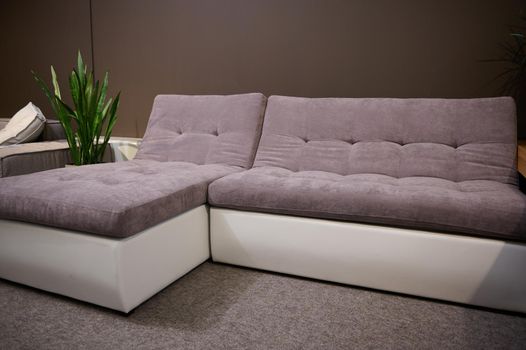 Modern confortable settee, displayed for sale in a showroom of an upholstered furniture store for home furnishing. Interior design and home decoration