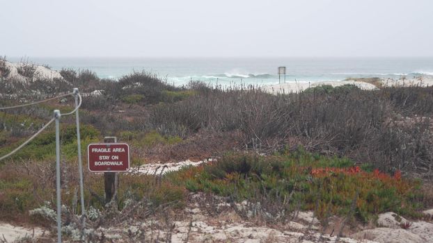 Ocean beach sandy dune, Monterey nature, California misty coast, USA. Foggy rainy autumn or winter weather, grey cloudy sky. Trail path on shore near cold sea waves. Fragile flora area sign, ecosystem