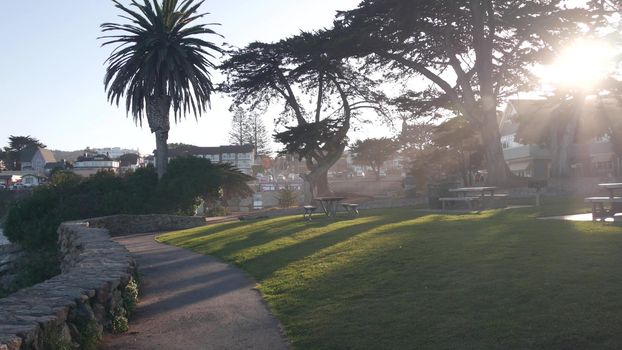 Lovers Point park in Pacific Grove, Monterey nature, California coast, USA. Beachfront waterfront promenade, waterside bbq picnic area with tables. Cypress pine trees at sunset in sunlight. Green lawn