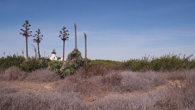 Vintage lighthouse tower, retro light house, old fashioned historic classic white beacon. Nautical navigation, coastal building 1855. Agave succulent plant flower. Point Loma San Diego, California USA
