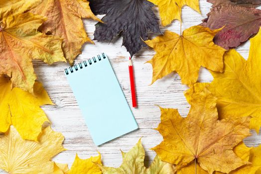 Spiral notepad and pen lies on vintage wooden desk with bright foliage. Flat lay composition with autumn leaves on white wooden surface. Day planning and relaxation. Blank notepaper with copy space