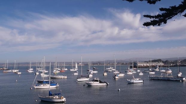 Yachts in harbor or bay, Monterey marina by Old Fishermans Wharf, quay or pier, California coast USA. Sailboats, nautical vessel, sail boats, ocean sea water. Beachfront waterfront promenade by port.