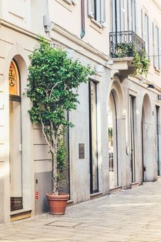 Plant in the pot near shop's door. Typical italian narrow street of historic city center on sunny summer day. Cityscape of Milan. Milan, Italy - September 26, 2020