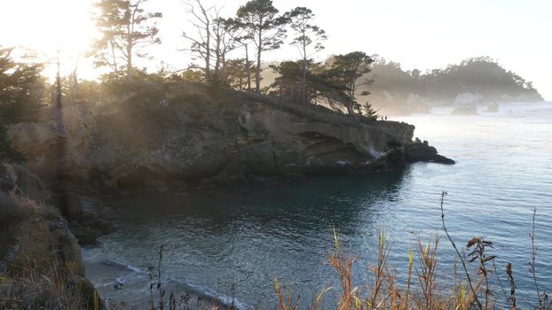 Rock, crag or cliff, ocean waves in cove, sea water. Big Sur, 17-mile drive, Point Lobos seascape, Monterey, California coast, USA. Coniferous pine cypress forest or grove in sunset light. Calm cove.