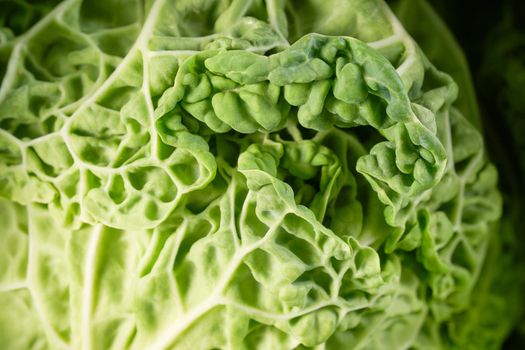 Black kale salad leaves closeup. Raw green organic lascinato kale vegetable. Italian or tuscan cabbage close up. Macro studio shot. Green cabbage.