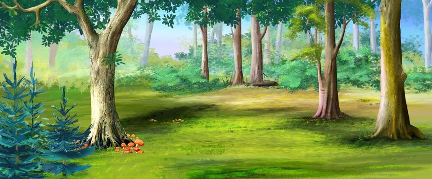 Forest glade on a sunny summer day. Digital Painting Background, Illustration.