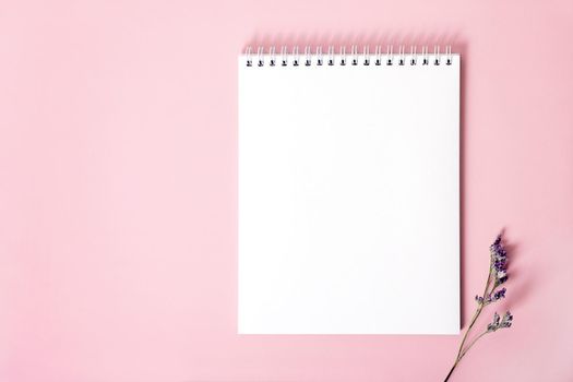 Top view mockup of spiral notepad with white blank sheets and dried flower sprig on pink background. Copy space.