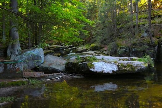 A picturesque small mountain river in the forest