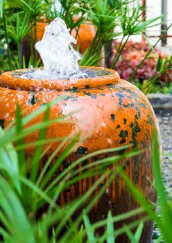 Cyperus Umbrella plant and the small fountain in ceramic jar