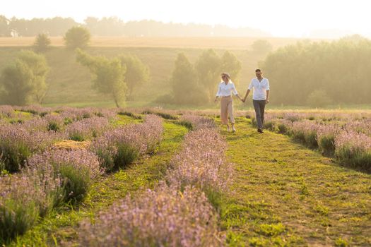 adult couple in the lavender fields.