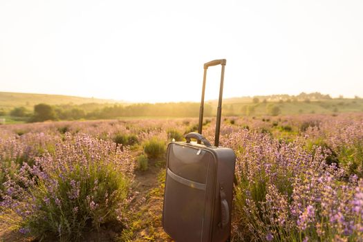 Osuitcase on the background of hilly lavender and other fields.
