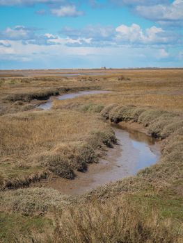 Creeks across the expansive salt marshes to small derelict house in the distance under blue sky and white clouds, Blakeney National Nature Reserve, Norfolk, UK