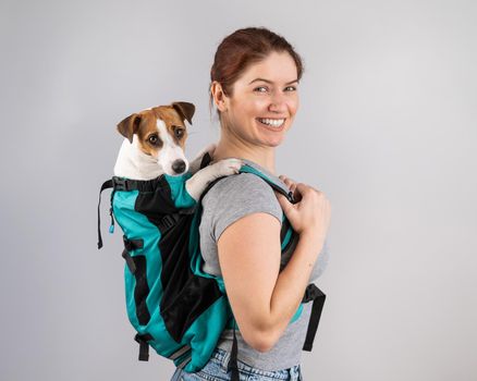 Caucasian woman carries jack russell terrier dog in her backpack