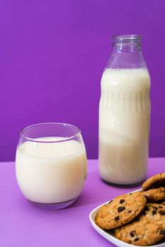 Glass bottle and large glass with milk and some sweet chocolate chip cookies in a purple or violet environment. Copy space. Vertical Orientation.