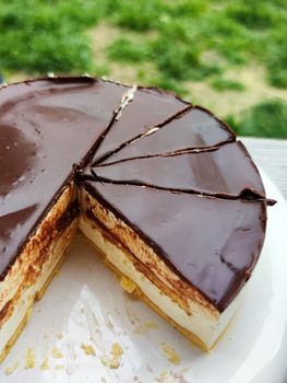 sliced round chocolate cheesecake, puffy creamy cake close-up.