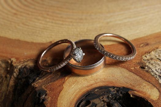 White Gold and Diamond Wedding and Engagement Rings Arranged on Rustic Wood Tree Slice. High quality photo