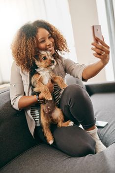 Shot of a cheerful young woman taking a selfie with her cute little puppy while being seated on a couch at home.