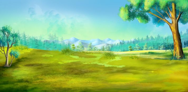 Steppe landscape on a sunny summer day. Digital Painting Background, Illustration.