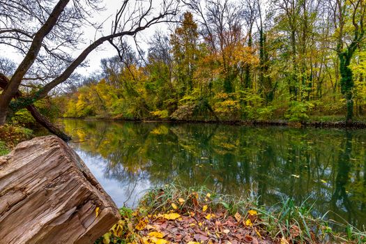 Amazing autumn scene of a river in a forest with typical yellowish colors of autumn