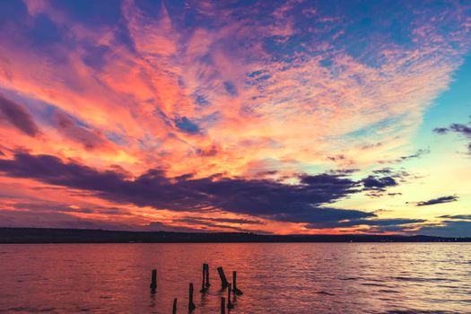 Exciting sunset at the seashore. Dead tree stumps In the water