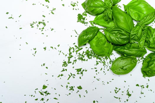 Fresh basil leaves on a white surface. Fresh, healthy and natural food concept. Copy space.