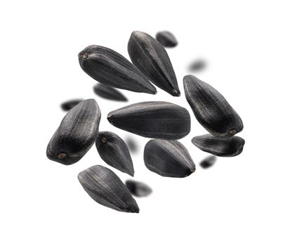 Sunflower seeds levitate on a white background.