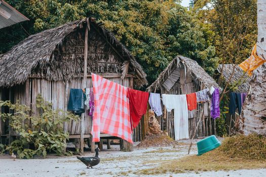 Laundry day in small village in Masoala, freshly washed laundry hanging on a string next to a shack. Maroantsetra, Madagascar