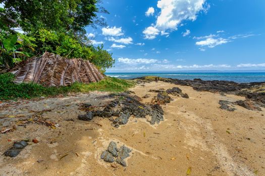 wild paradise beach in Masoala, Madagascar, Africa Wilderness, beautiful nature wilderness landscape