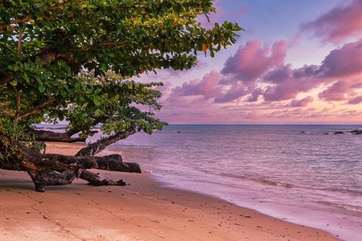 wild paradise beach in Masoala, Madagascar, Africa Wilderness, beautiful nature wilderness landscape