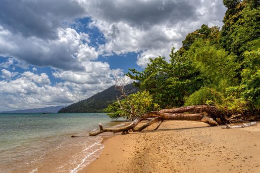 wild paradise beach in Masoala, Madagascar, Africa Wilderness, beautiful nature wilderness landscape