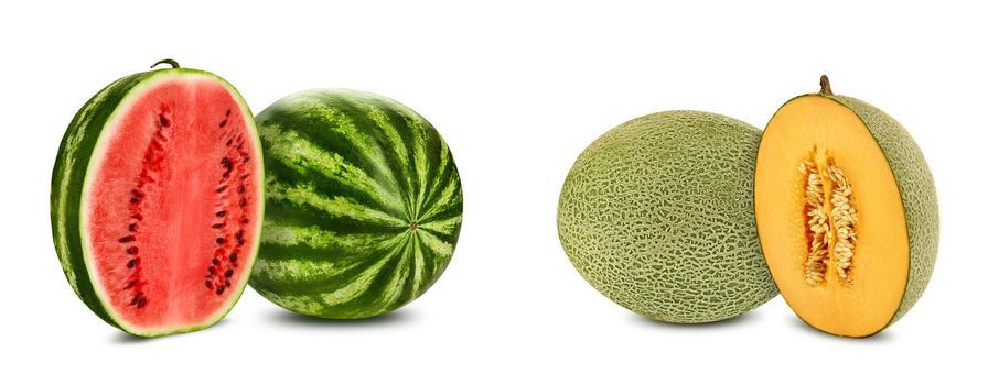 Green, striped, delicious watermelon and cantaloupe melon with halves in a cross-section, isolated on white background with copy space for text or images. Juicy red and orange color flesh with seeds. Side view. Close-up shot.