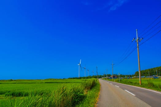 Many wind power stations (renewable energy). Shooting Location: Akita