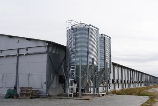 large scale commercial chicken farm with two grain storage silos for the storage of poultry feed.