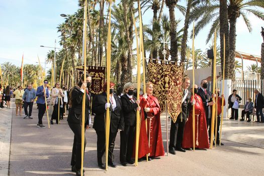 Elche, Alicante, Spain- April 10, 2022: People with white palms for the Palm Sunday of the Holy Week of Elche