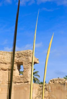 White palms on the Palm Sunday Procession in Elche, Alicante, Spain