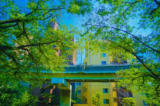 Wasedas fresh green and blue sky. Shooting Location: Tokyo metropolitan area