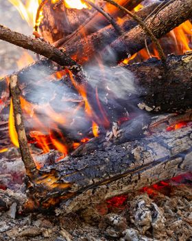 bonfire in the evening summer forest. High quality photo