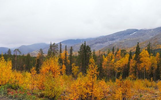 Autumn colorful tundra on the background mountain peaks in cloudy weather. Mountain landscape in Kola Peninsula, Arctic, Khibiny Mountains. photo