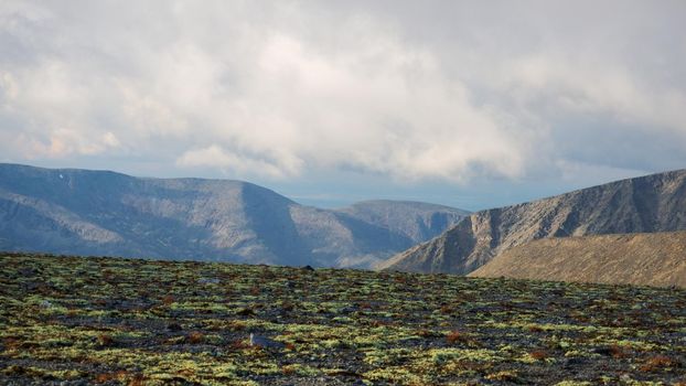 Autumn colorful tundra on the background mountain peaks in cloudy weather. Mountain landscape in Kola Peninsula, Arctic, Khibiny Mountains.