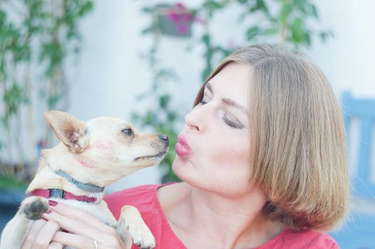 portrait beautiful young blonde smiling and pet dog Chihuahua. High quality photo