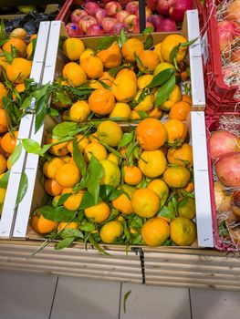 Tangerines with twigs are in a drawer in the store