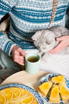 the hostess hands the gray kitten a piece of cake in the palm of her hand, we have a cup of tea and an orange pie, cozy vibes, a warm homely atmosphere. High quality photo