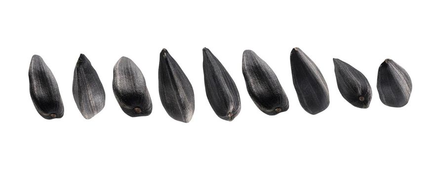 Sunflower seeds levitate on a white background.