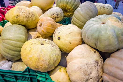 Different fresh pumpkins are in the store drawer